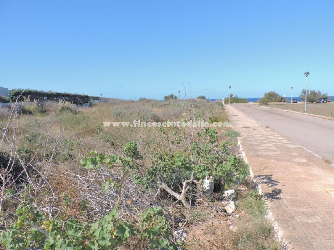 PARCELA EN PRIMERA LINEA DE MAR EN SON B